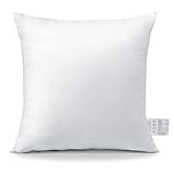 OTOSTAR Throw Pillow Insert, 16 x 16 Square Cushion Inner Soft Fluffy Plump Stuffer Cushion Pad White Decorative Pillow Insert