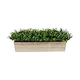 19in. Eucalyptus Artificial Plant in Decorative Planter