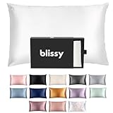 Blissy Silk Pillowcase - 100% Pure Mulberry Silk - 22 Momme 6A High-Grade Fibers - Silk Pillow Cover for Hair & Skin - Regular, Queen & King with Hidden Zipper (Standard, White)