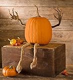 Plow & Hearth Set of 4 Bendable Pumpkin Arms and Legs | Create Whimsical Halloween Decor | Spooky Vine Design | Includes 2 arms and 2 Legs, Iron, Orange